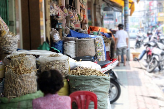 medicine chinatown traditional cholon