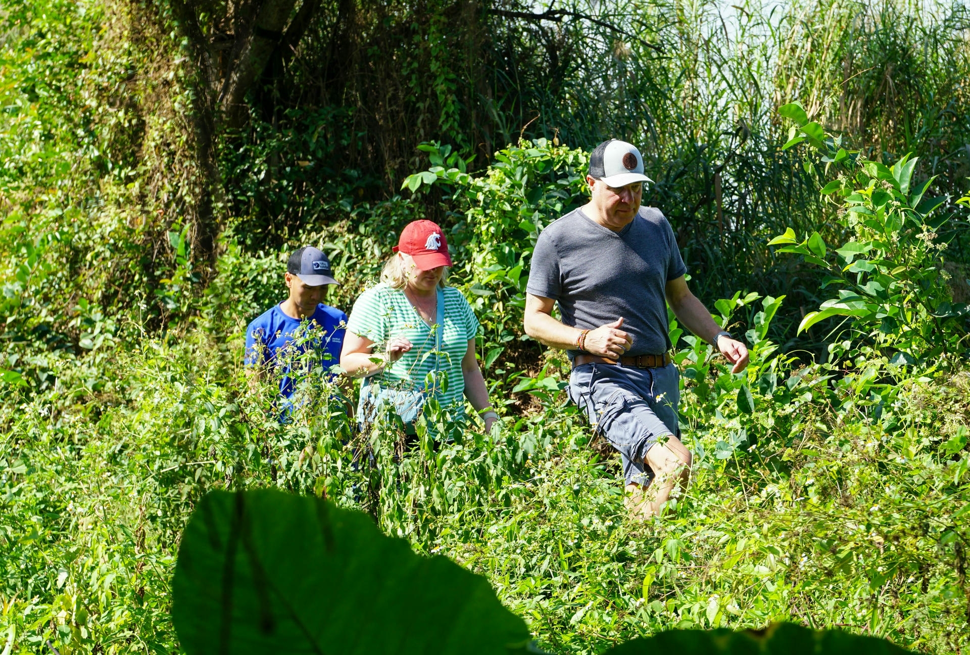 Saigon's Last Mekong Countryside: Escape to the Hidden Island - Image 85