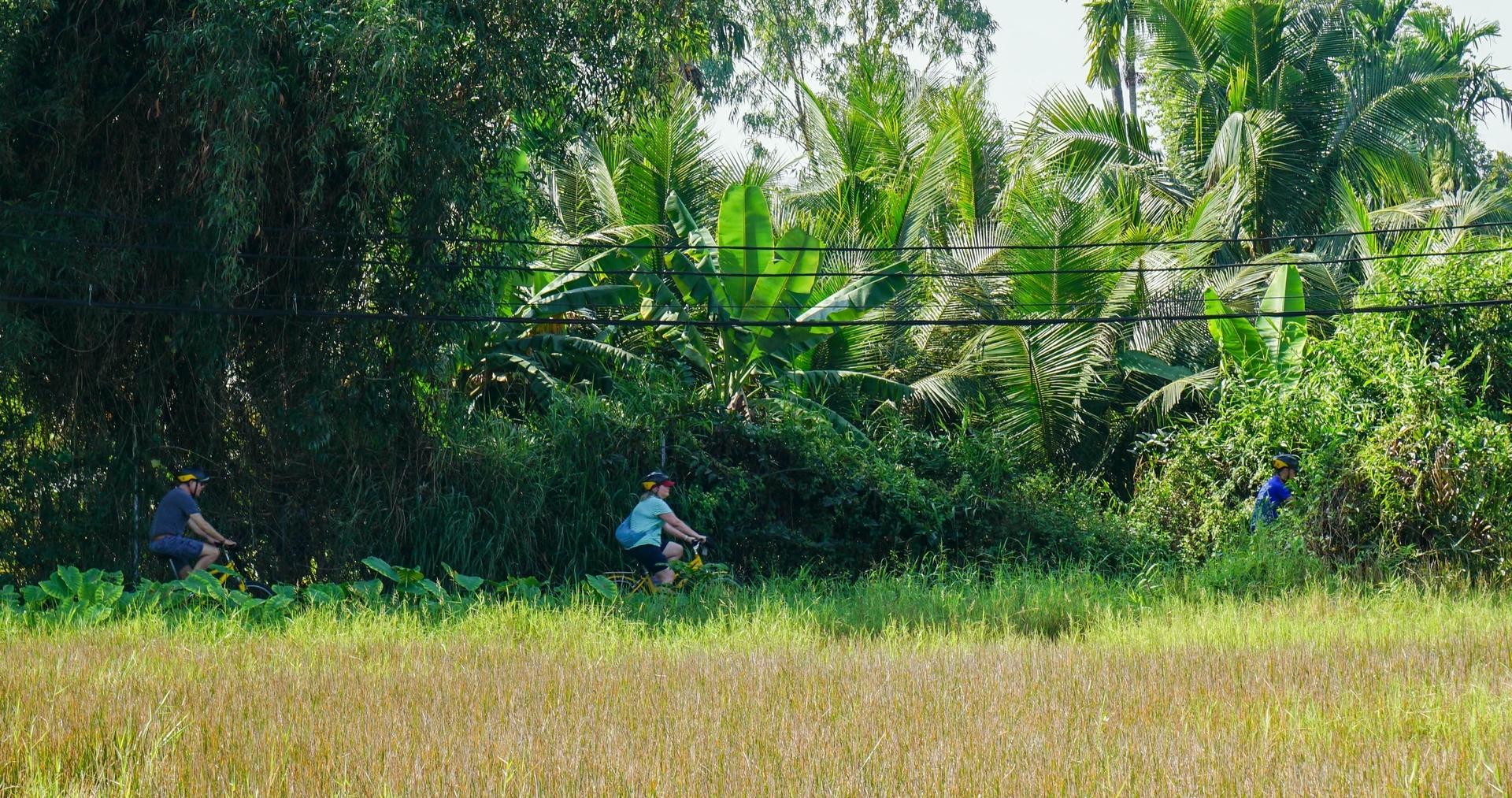 Saigon's Last Mekong Countryside: Escape to the Hidden Island - Image 83
