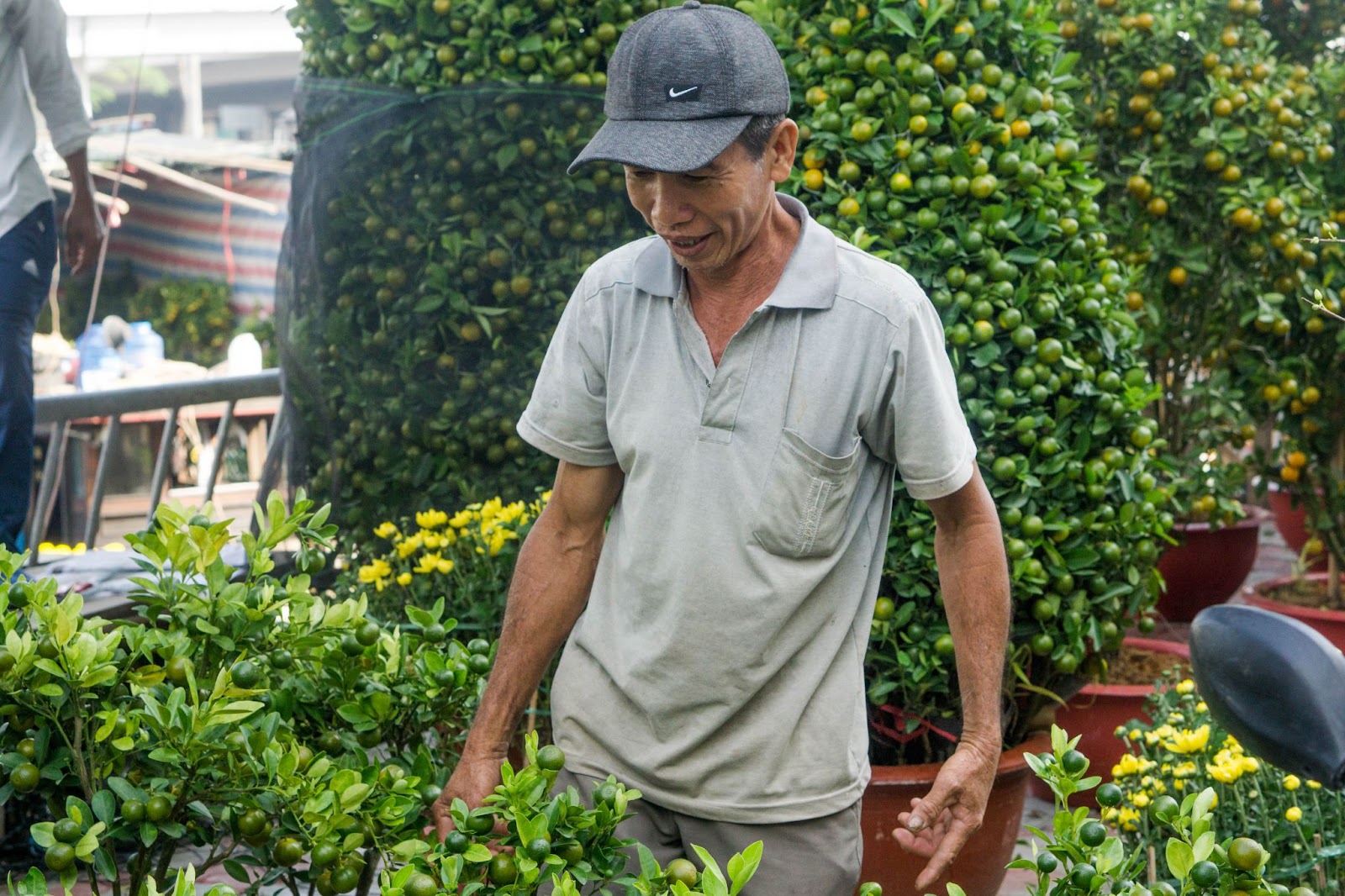 saigon vietnam flower market in tet