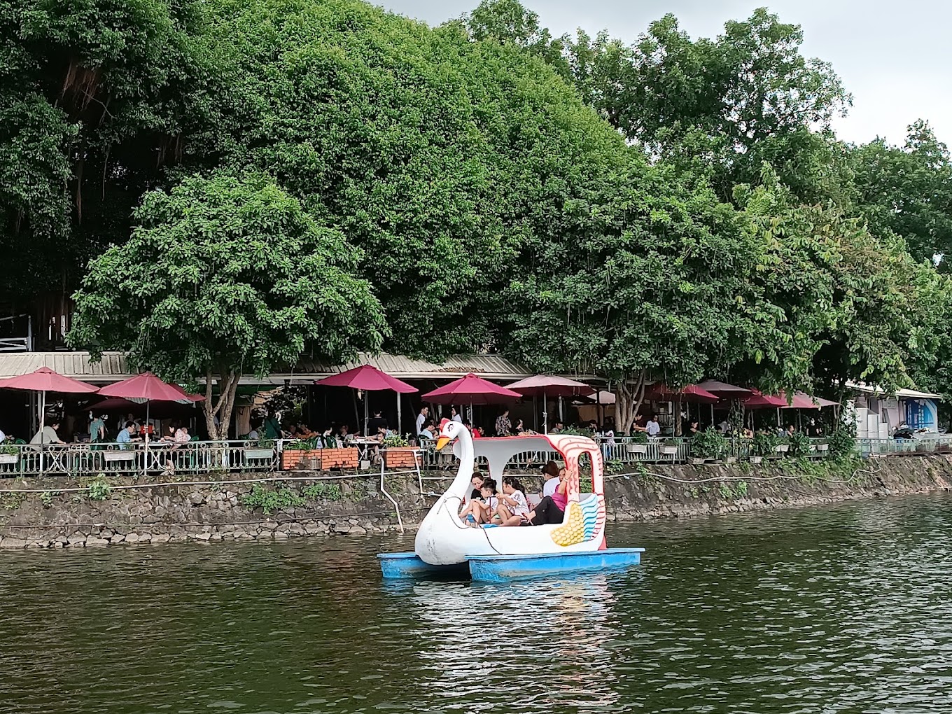 duck pedaling hanoi west lake