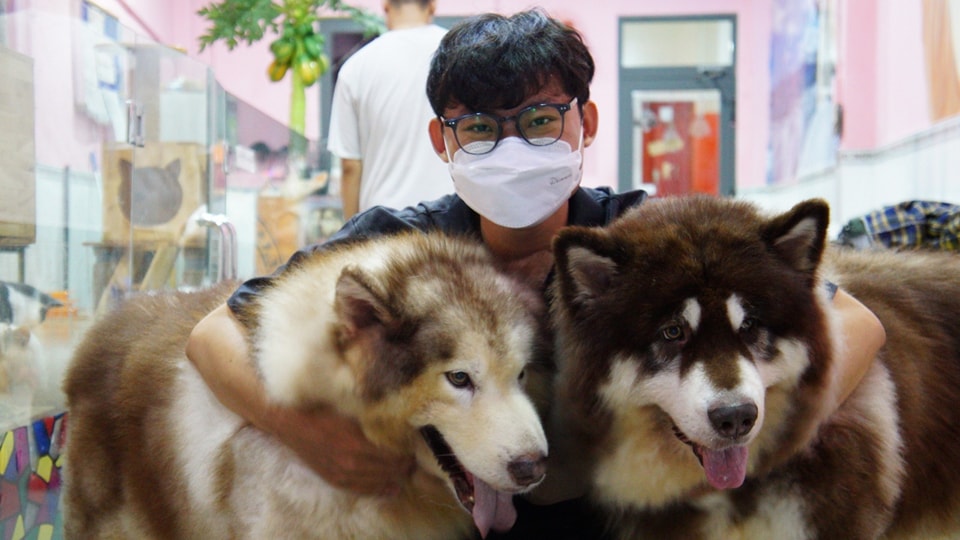 Dog Cafes in Ho Chi Minh City: A Guide to the Best Spots