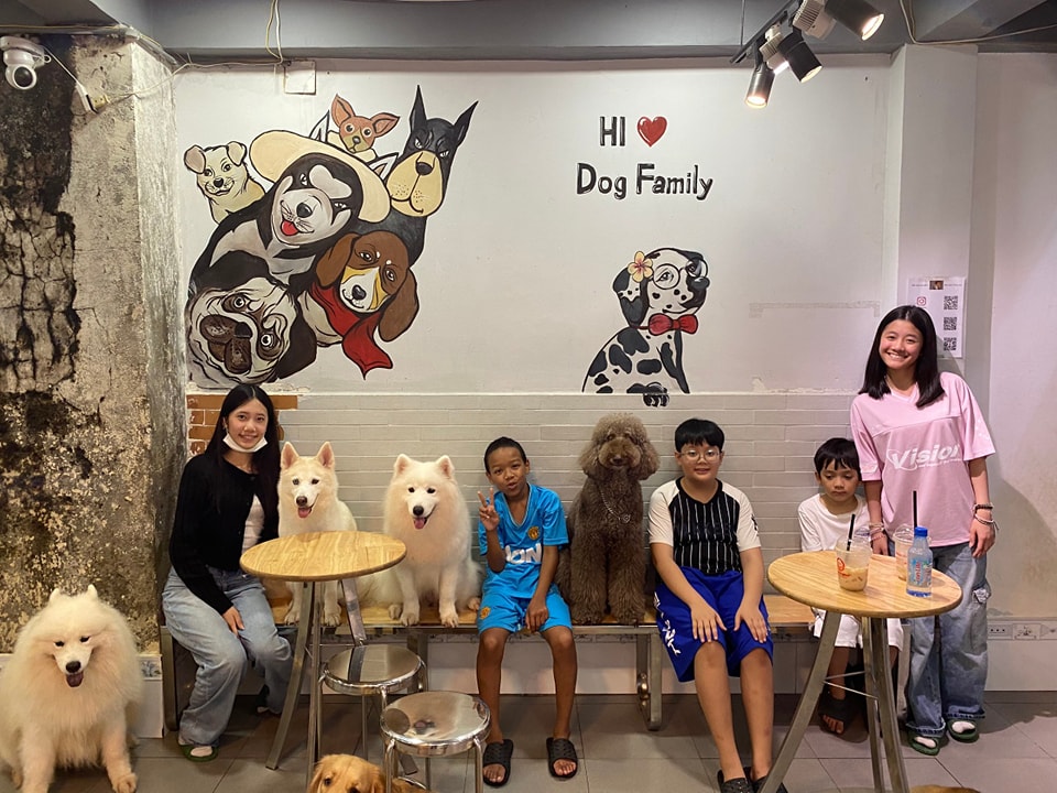 Dog Cafes in Ho Chi Minh City: A Guide to the Best Spots