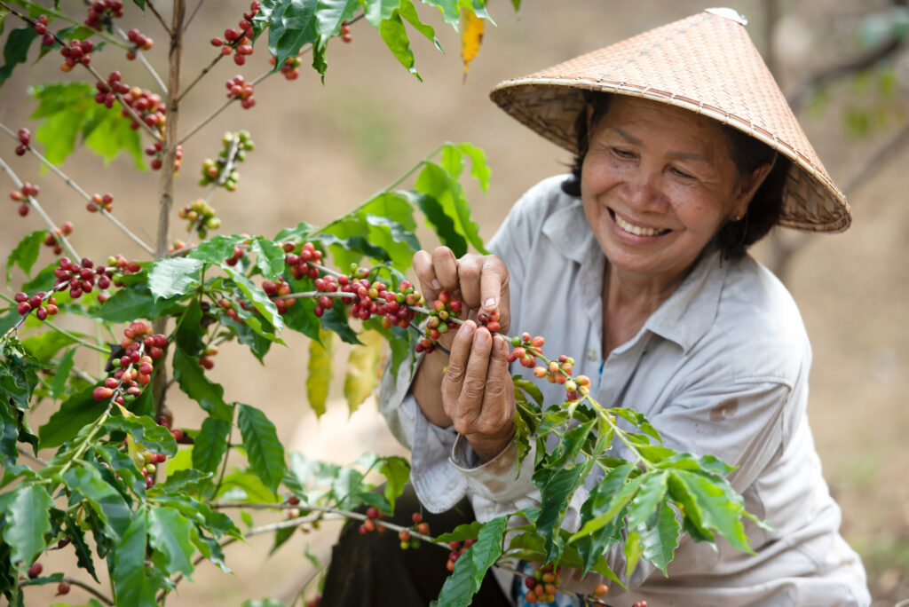 Vietnamese culture