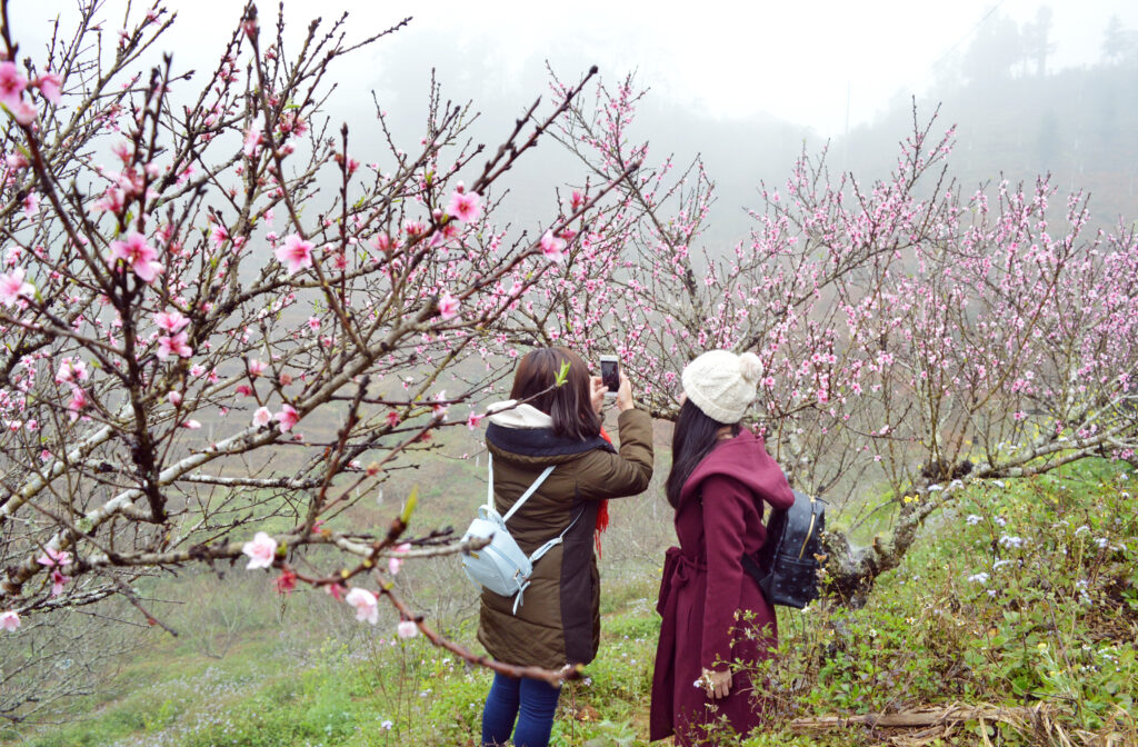 Best time to visit Vietnam 