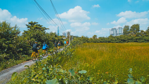 cycling vietnam in ho chi minh city