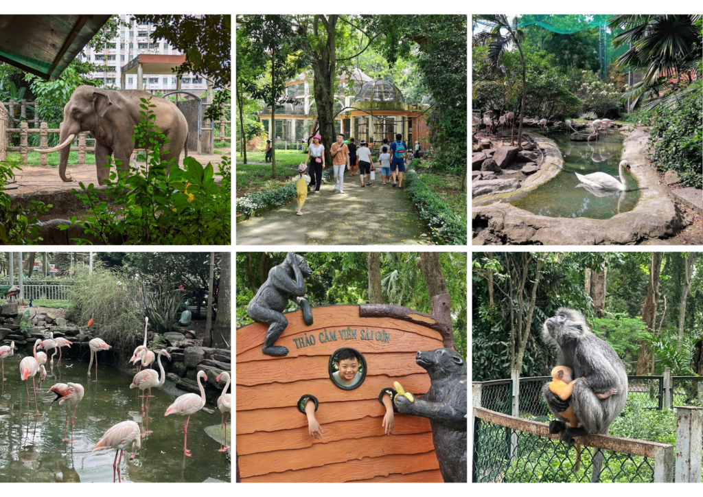 Things to do with kids in Ho Chi Minh City 