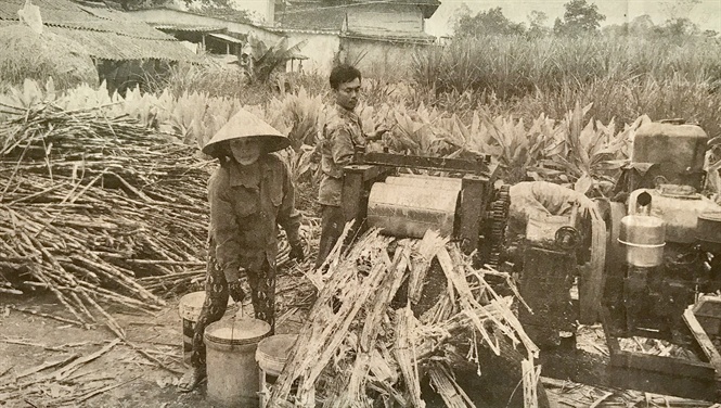 vietnamese drinks