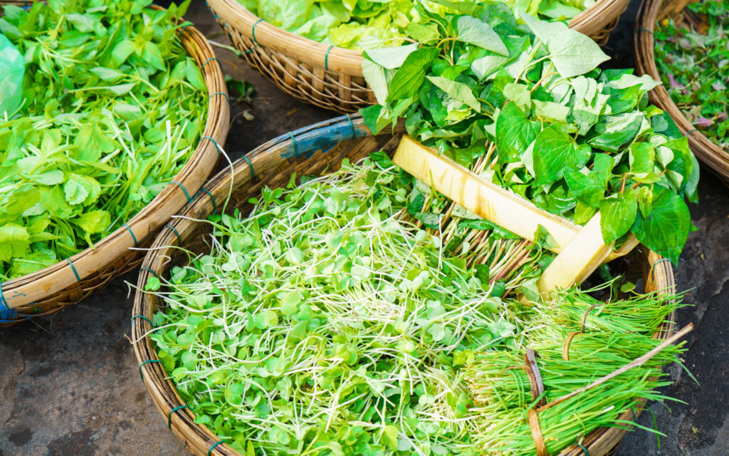 Vietnamese herbs