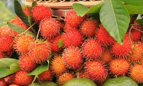 top weird fruit vietnam