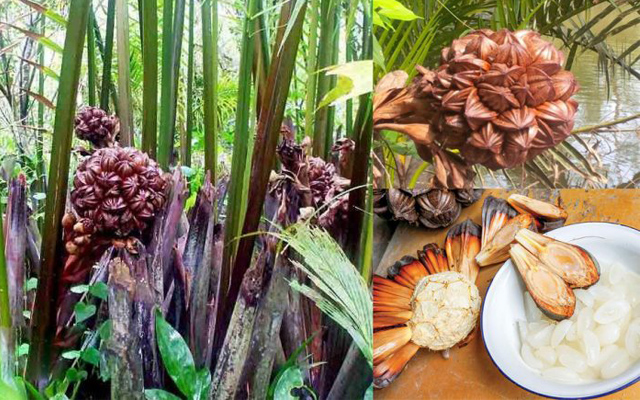 Top weird and wonderful fruit in Vietnam