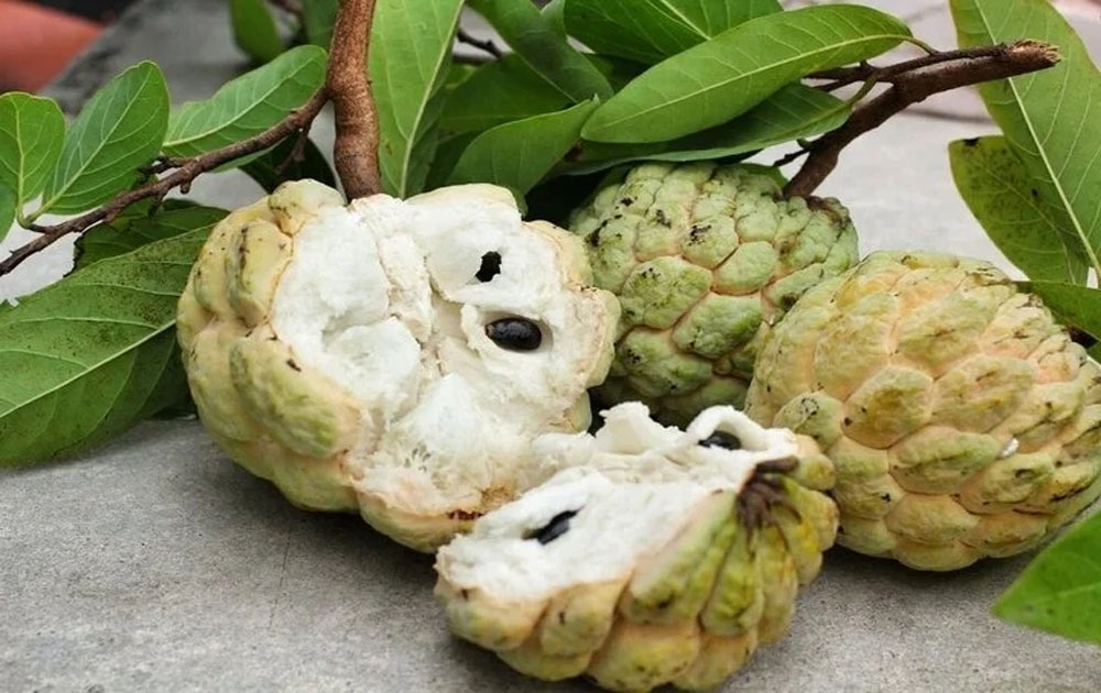 Top weird and wonderful fruit in Vietnam