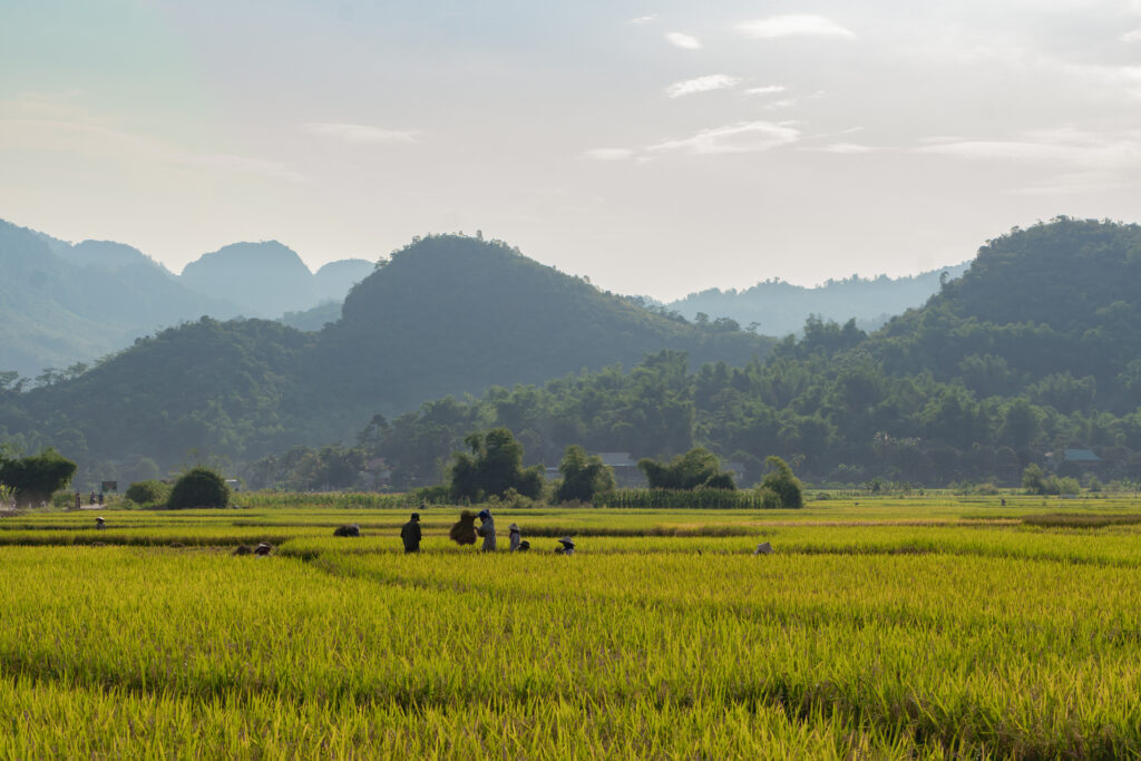 Vietnam in November