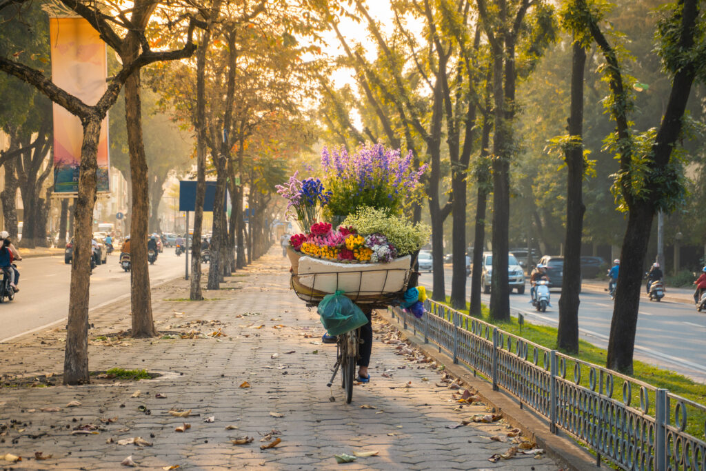 Vietnam in November