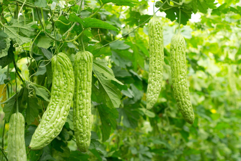 Vietnamese vegetables