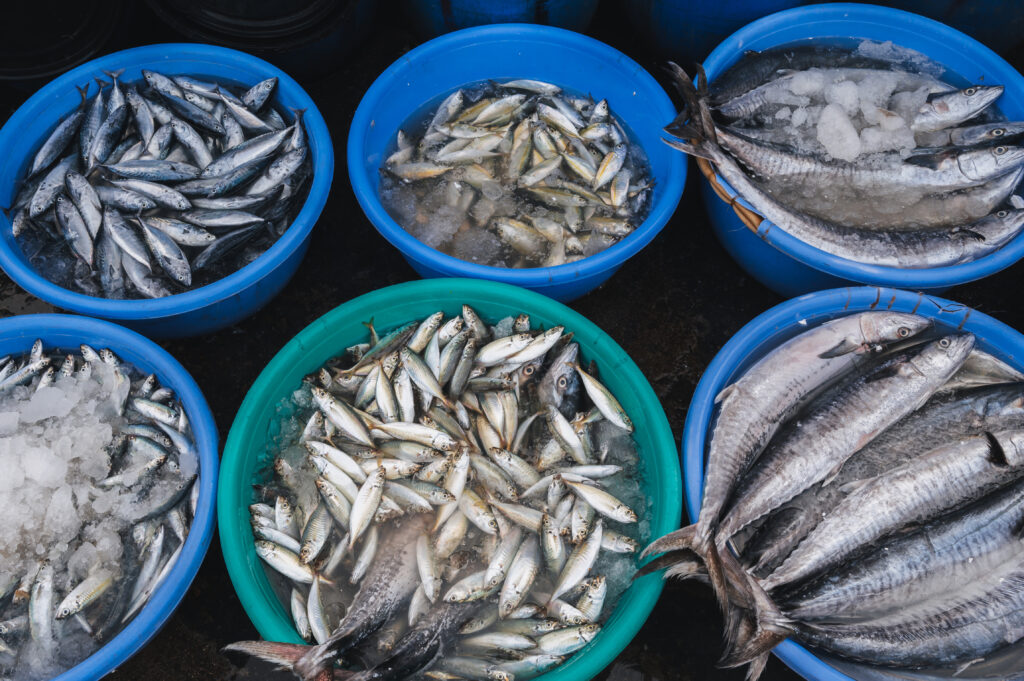 Fresh markets in Ho Chi Minh city 