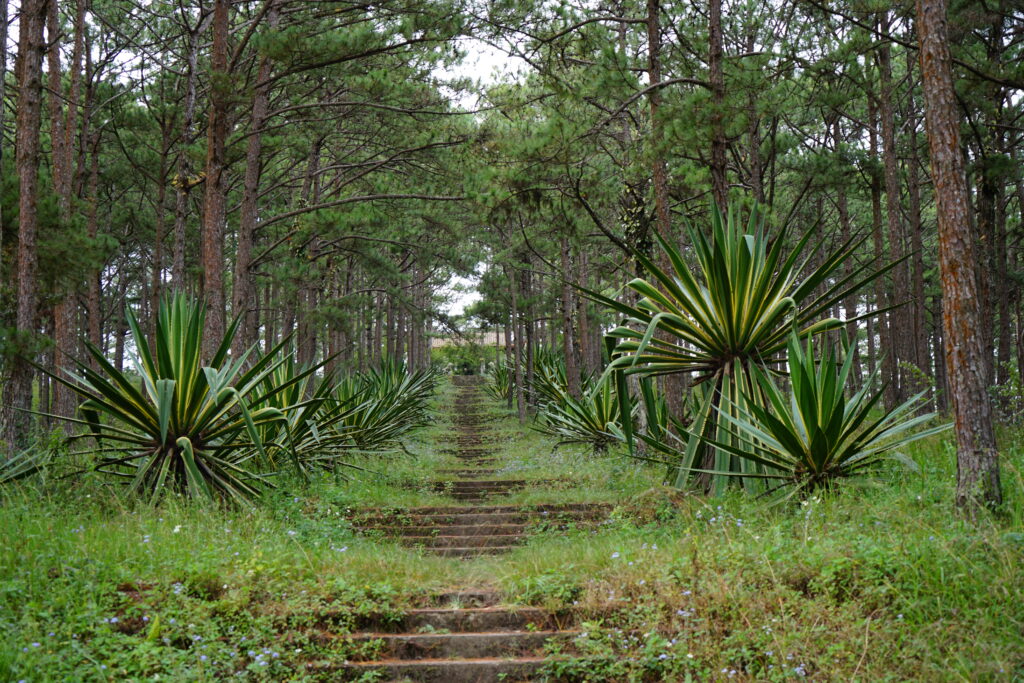 Nguyen Huu Hao Tomb