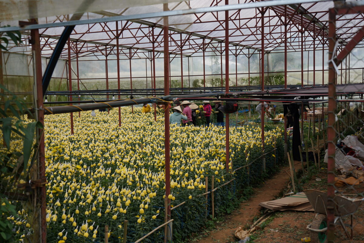 cycling tour in da lat