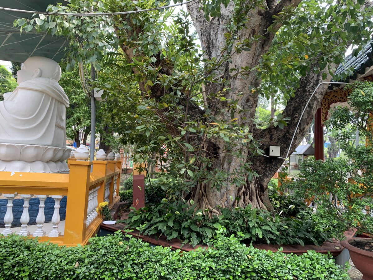 giac lam pagoda