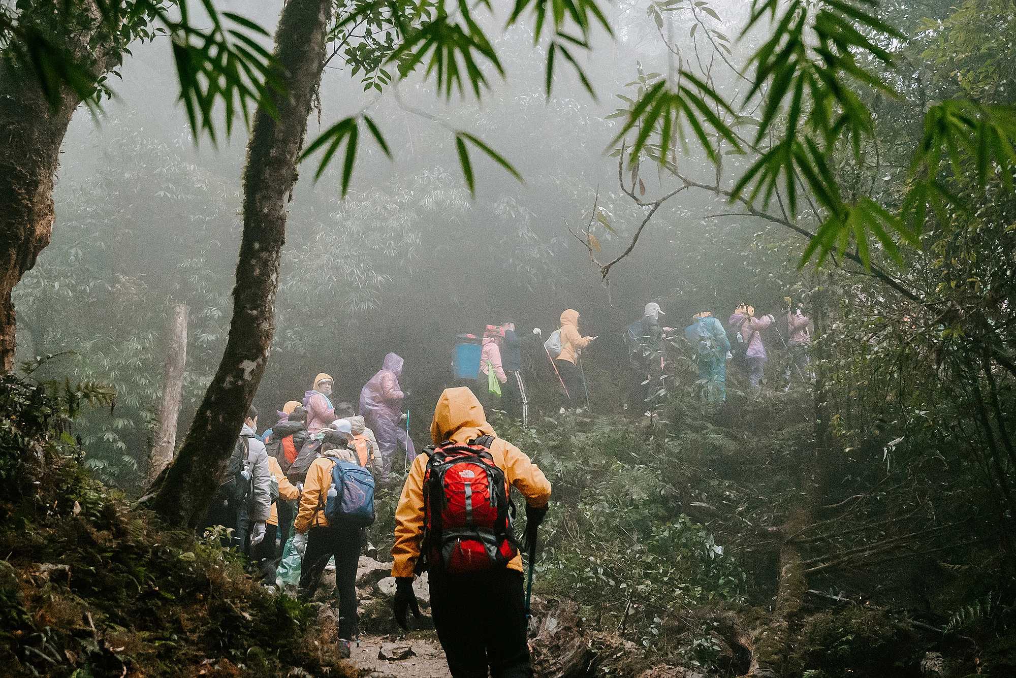 things to do in vietnam