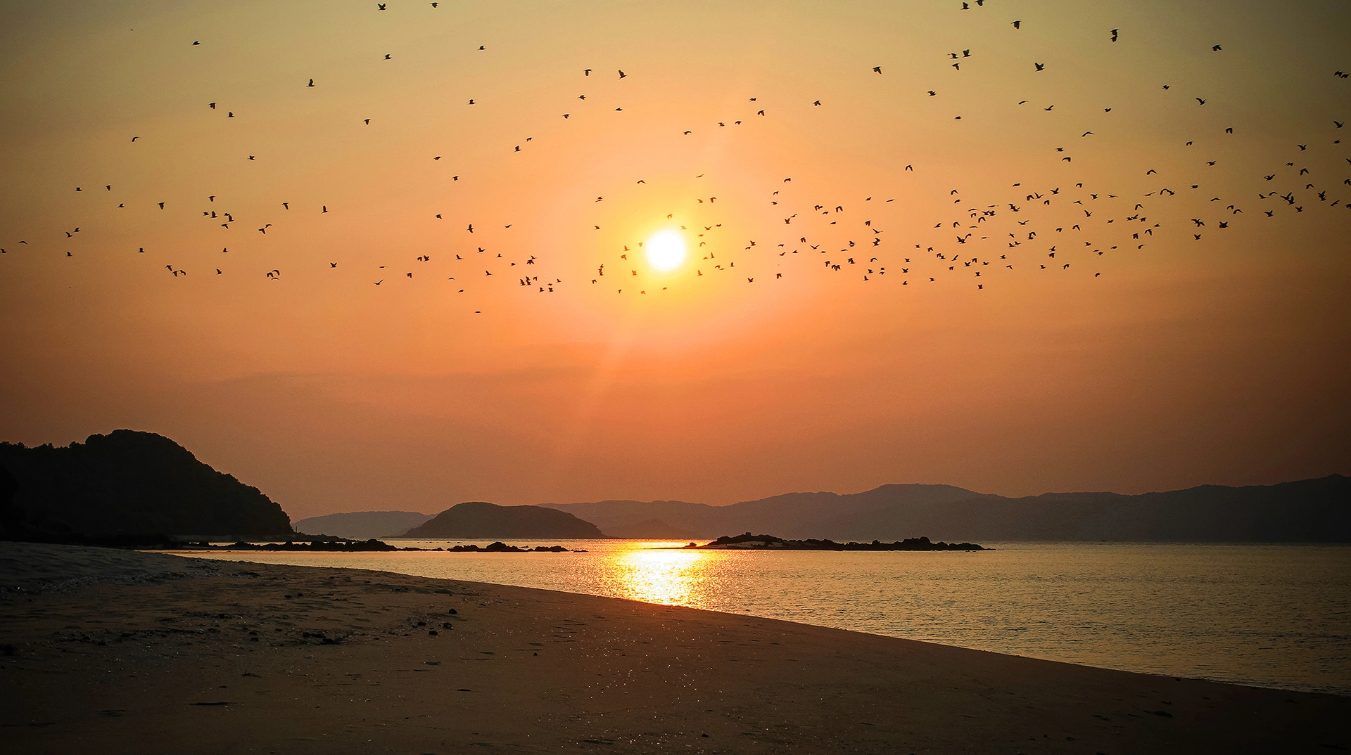 vietnam beaches