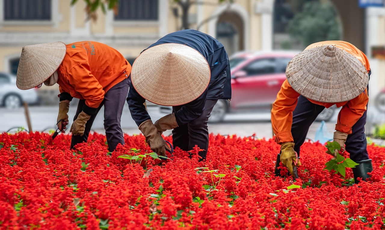 cheap things to buy in vietnam