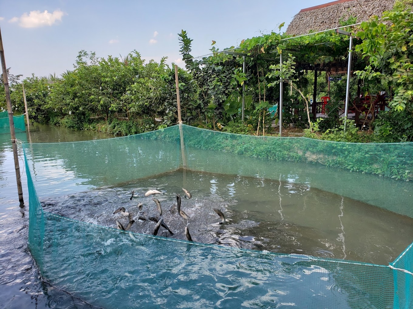 things to do in can tho vietnam