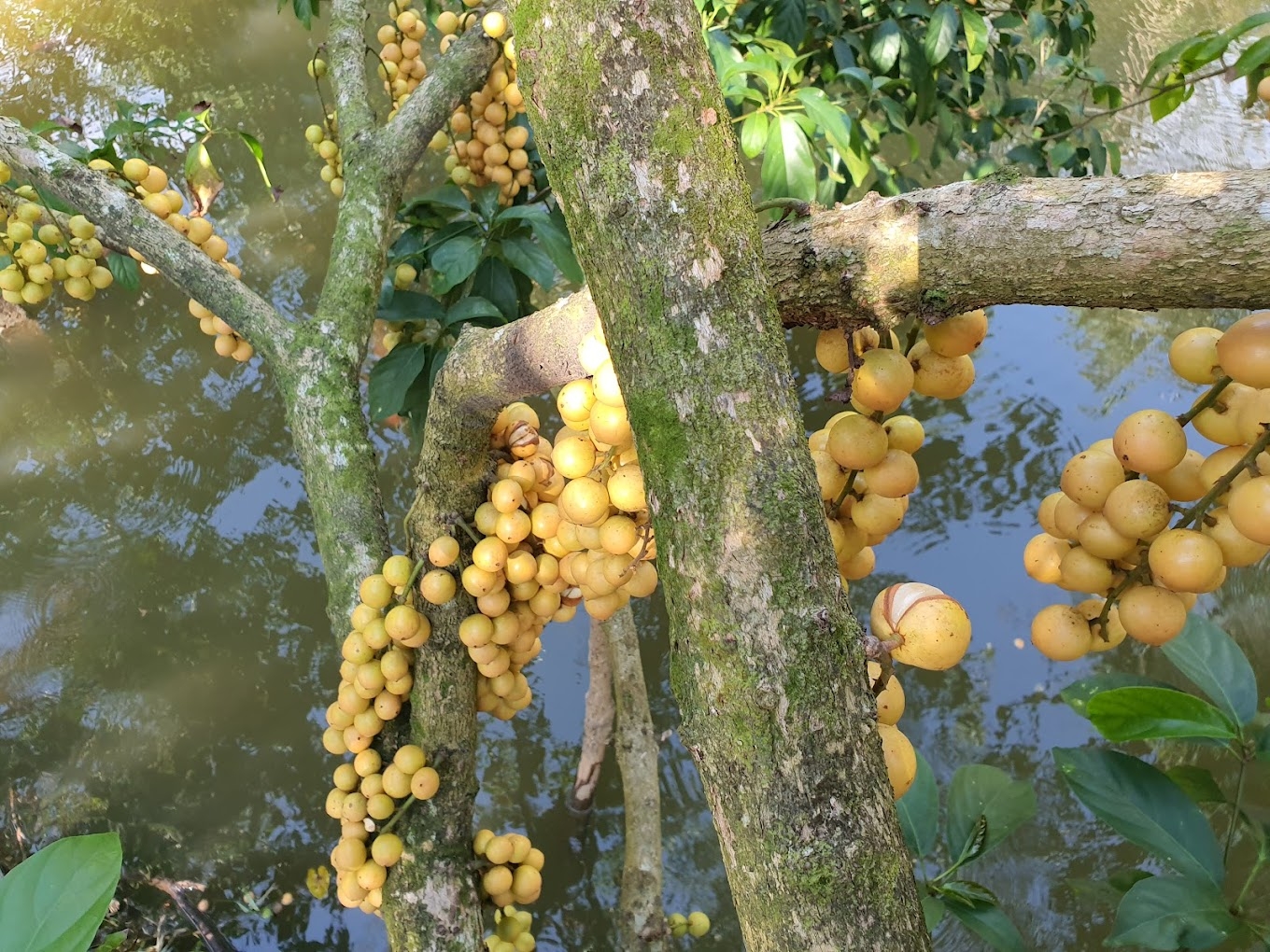 things to do in can tho vietnam
