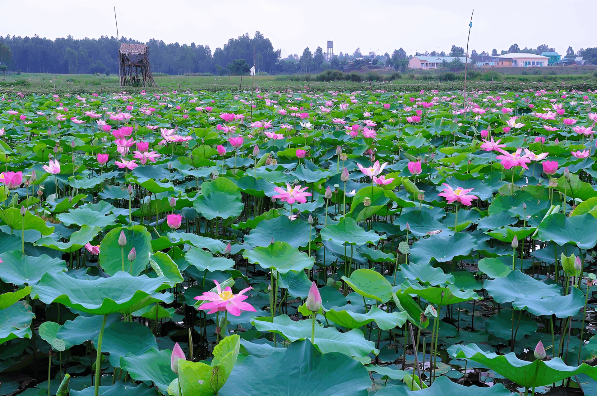 Top things to do in Vietnam