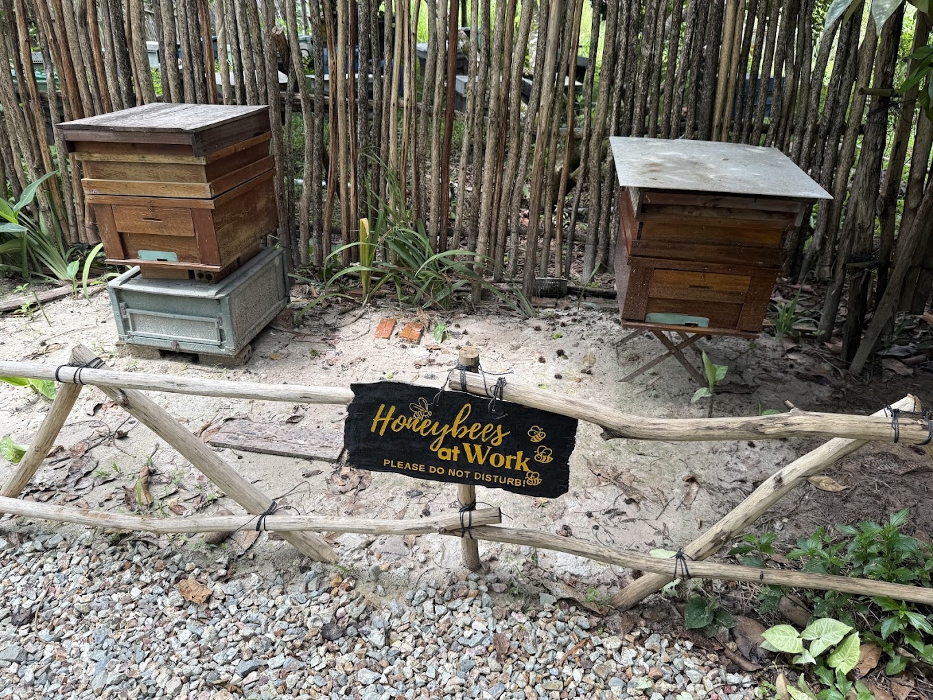 things to do in phu quoc