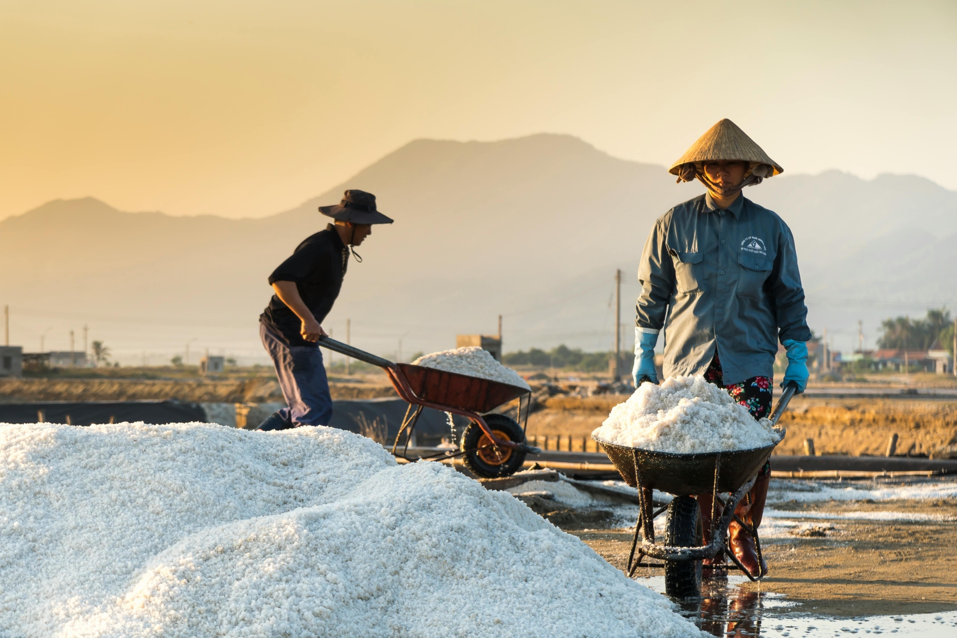 Top things to do in Vietnam