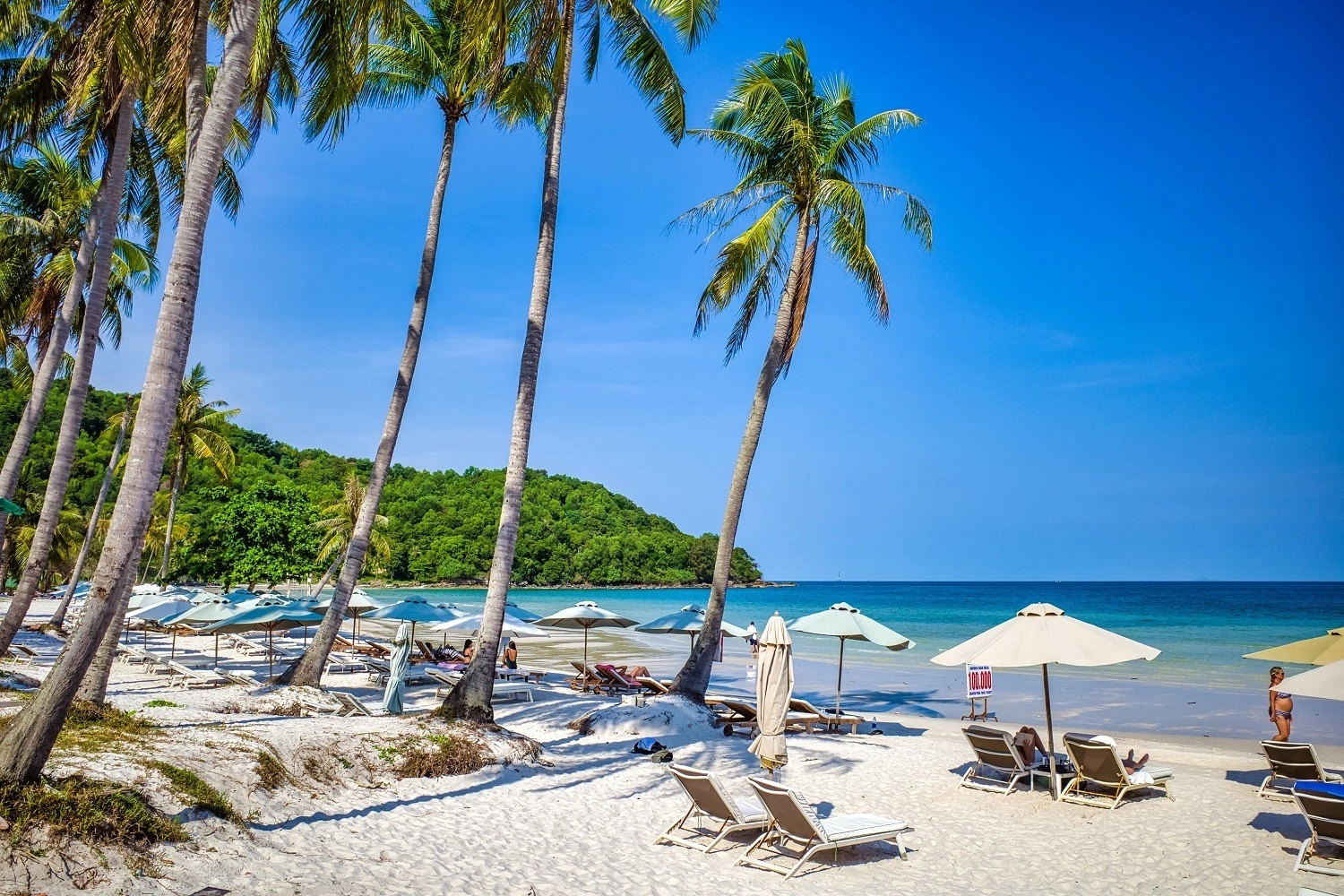 Vietnam Travel Itinerary