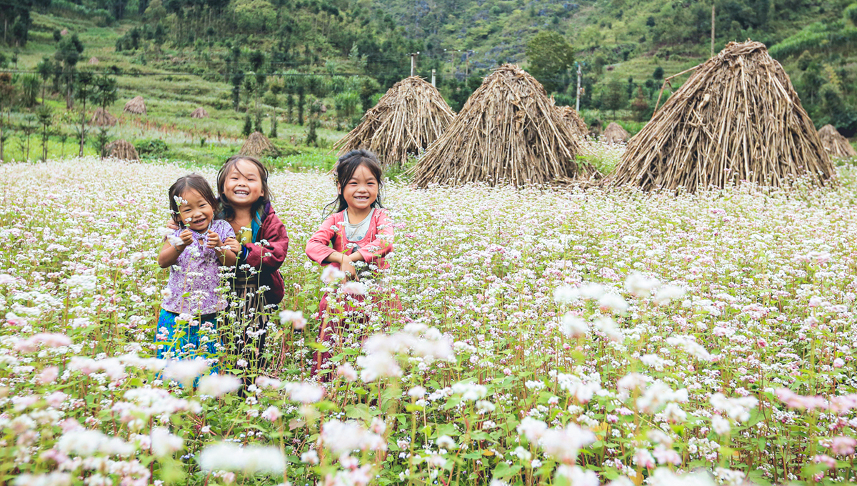 team building in ha giang