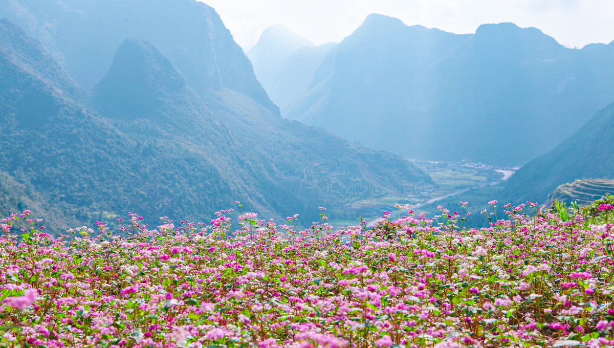 team building in ha giang
