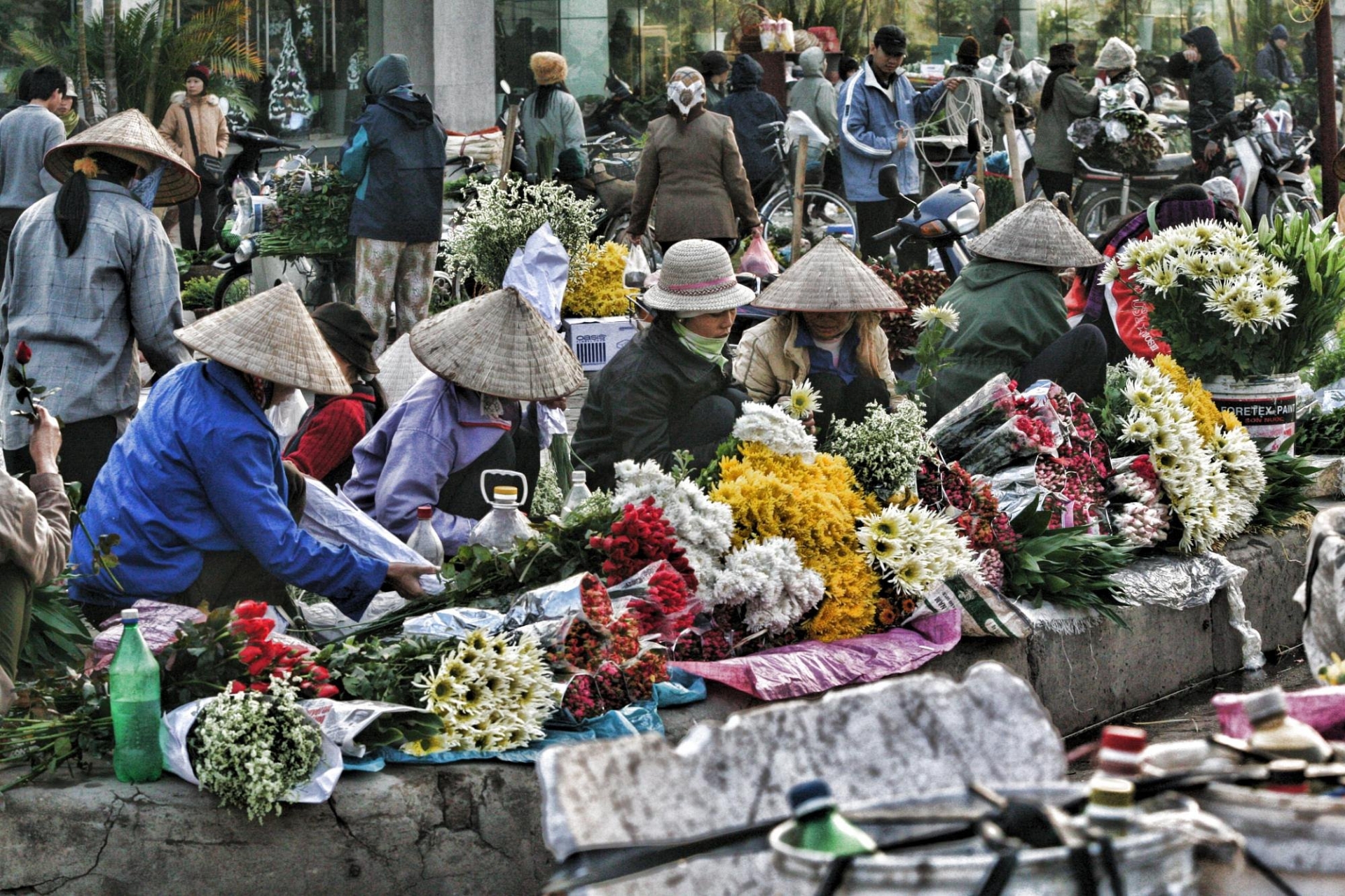 cool things to do in Hanoi
