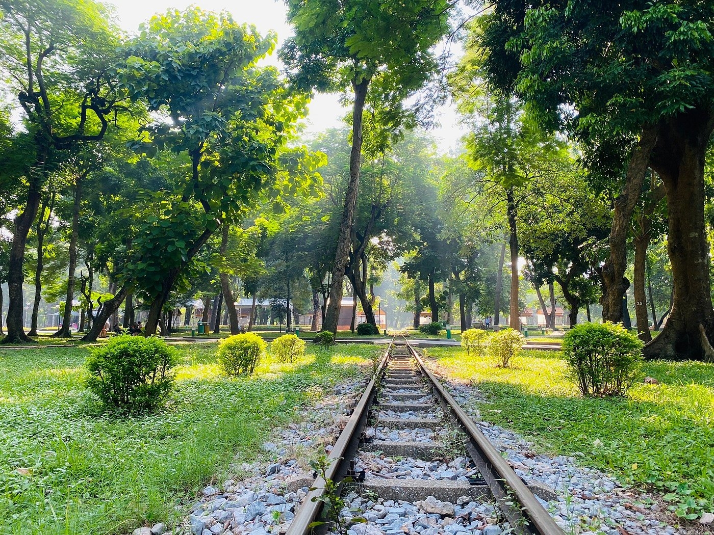 cool things to do in Hanoi