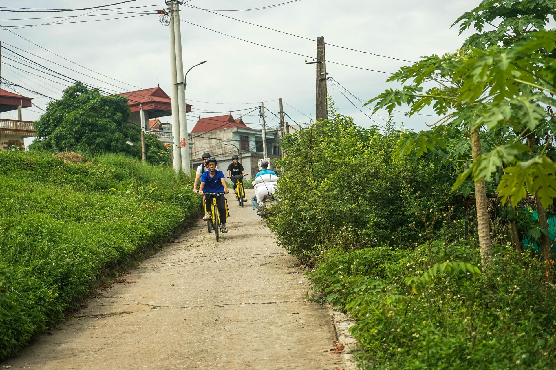cycling tour ride to the co loa ancient