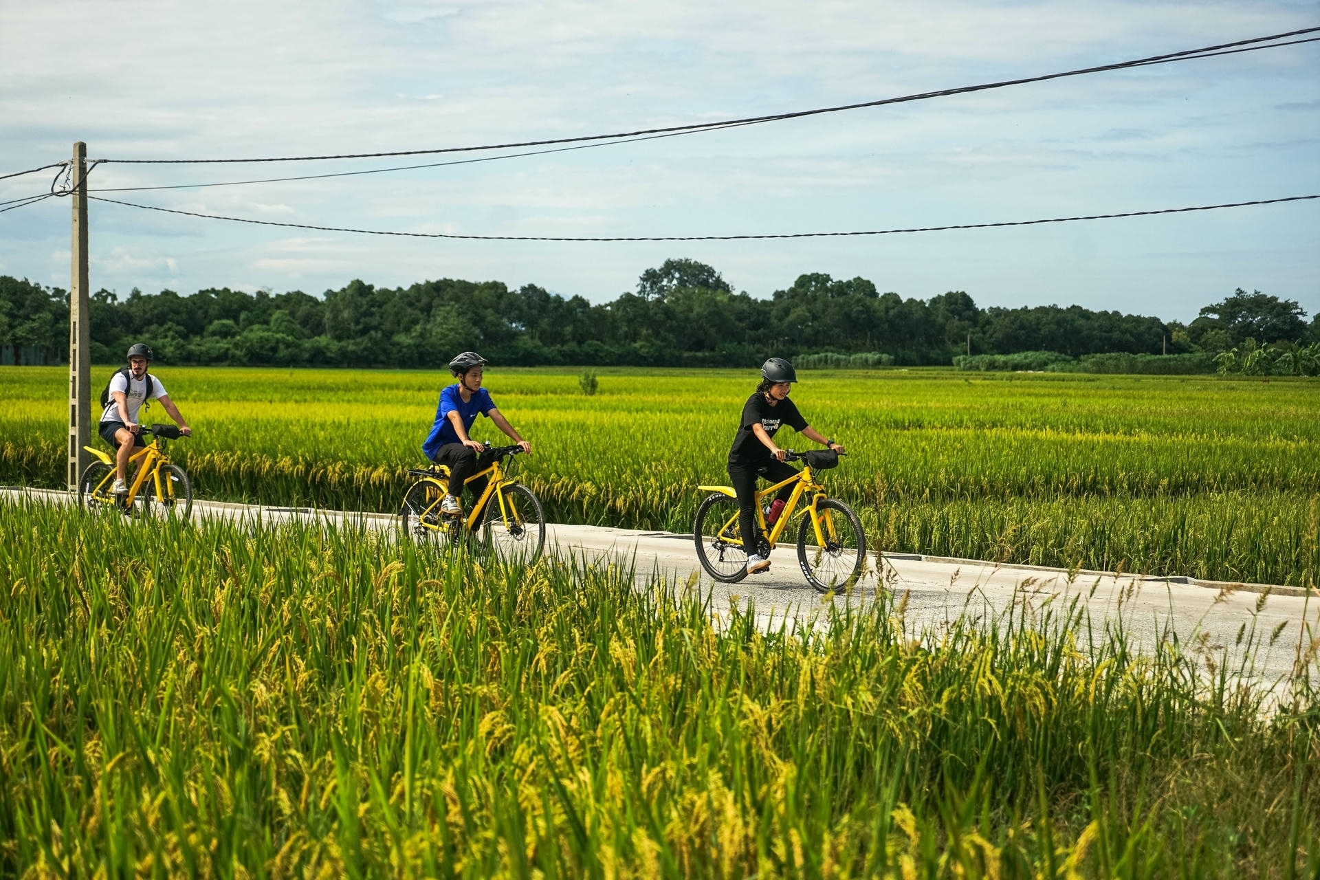 cycling tour ride to the co loa ancient