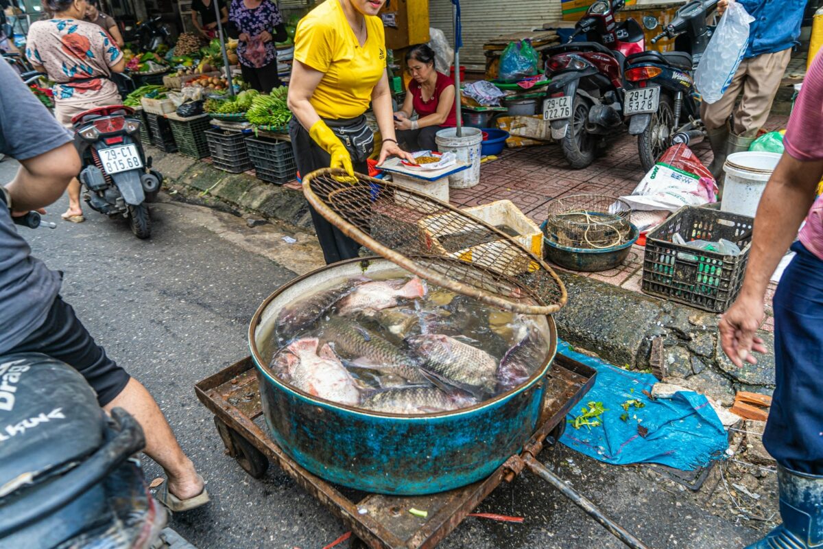 hanoi cycling tour off the beaten path