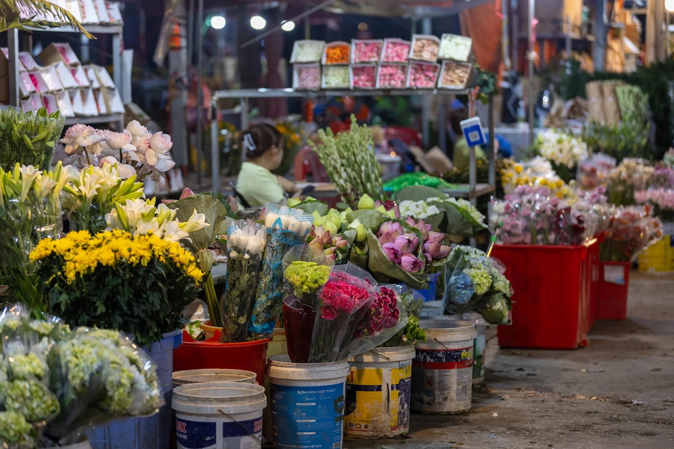 things to do in Hanoi December