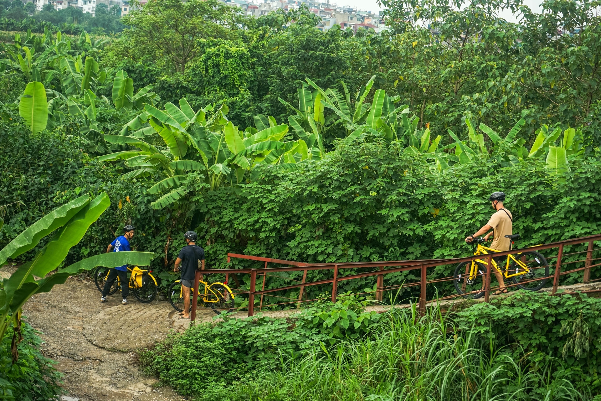 tour de hanoi cycling tour