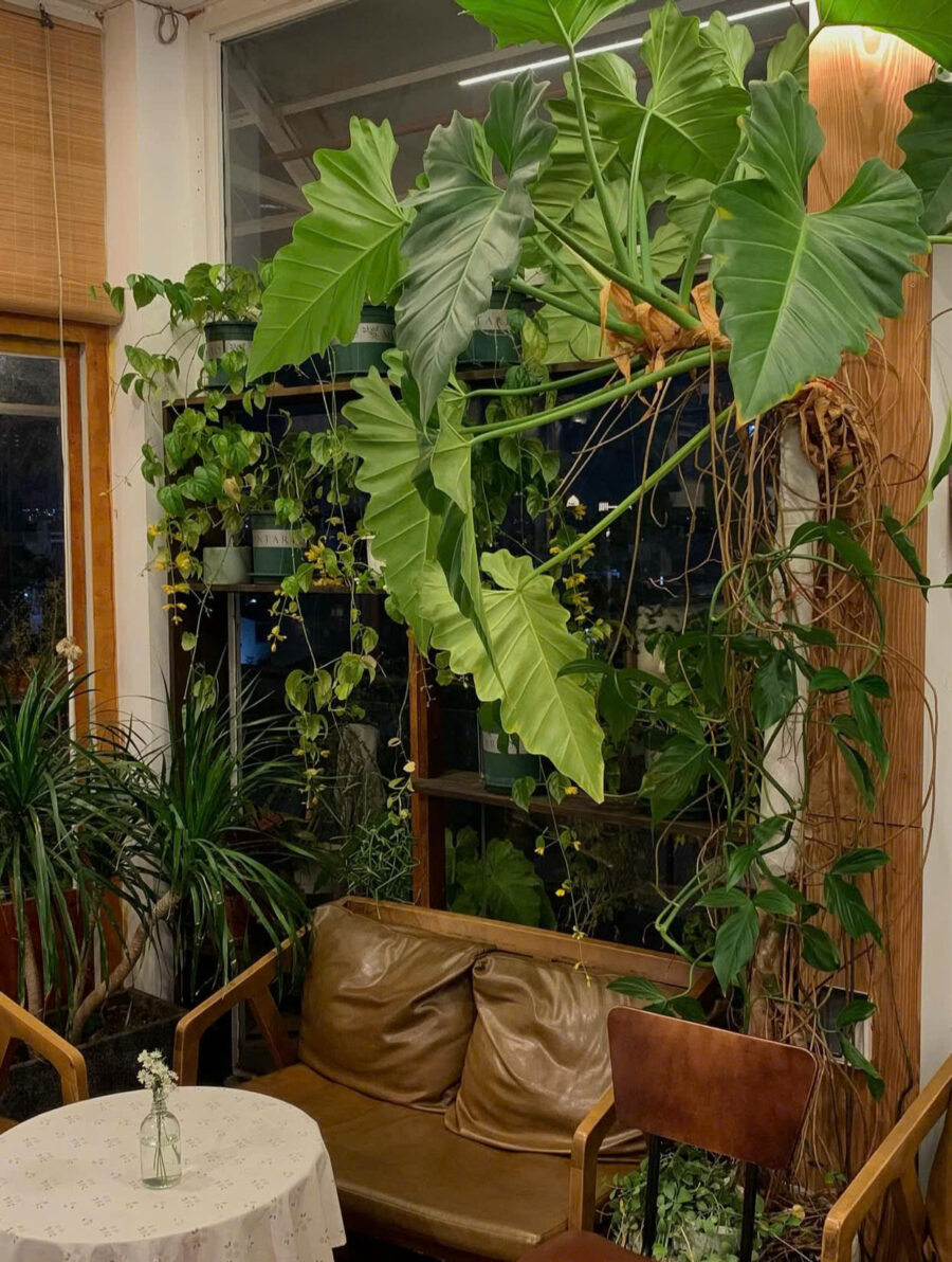 Saigon coffee shop