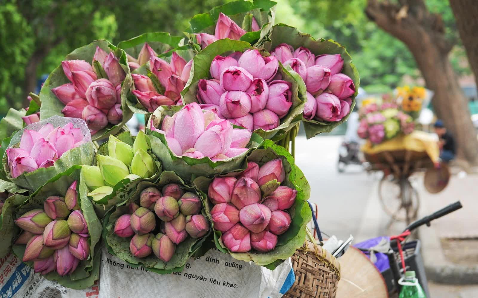 flower market hanoi