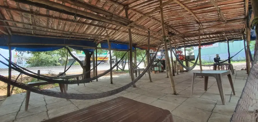 hammock cafe