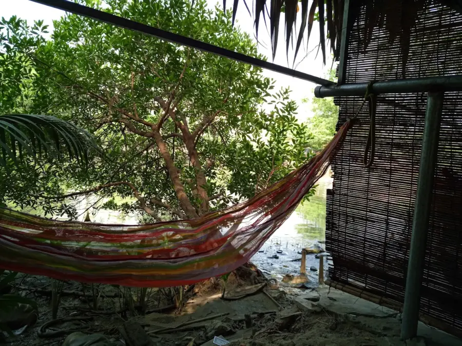 hammock cafe