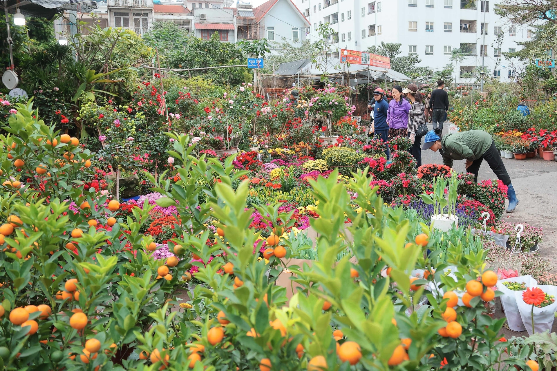 flower market hanoi