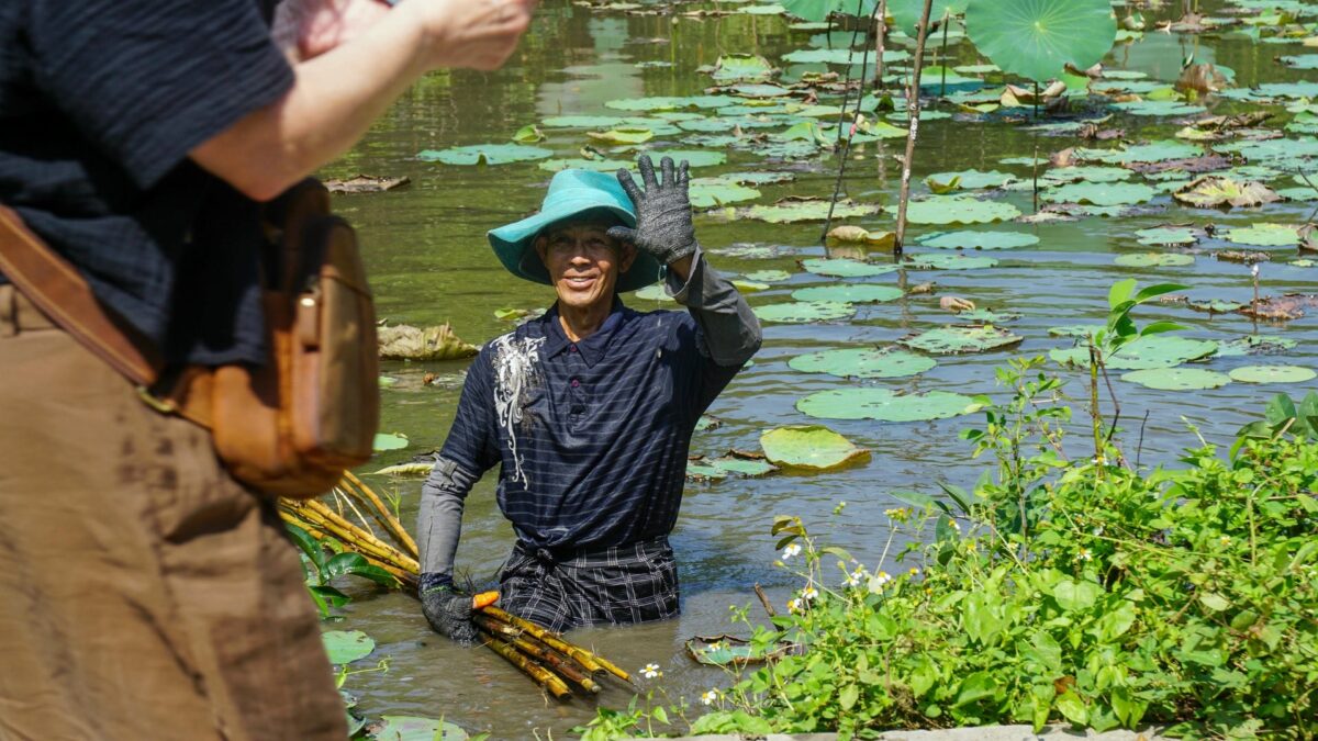 thanh da binh quoi 2 hours tour
