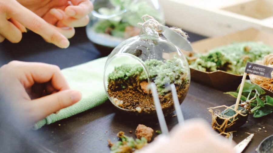 A close-up of hands arranging moss and small plants inside a round glass terrarium during a craft workshop.