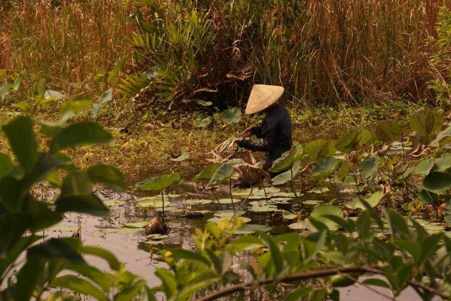 monsoon season in Vietnam