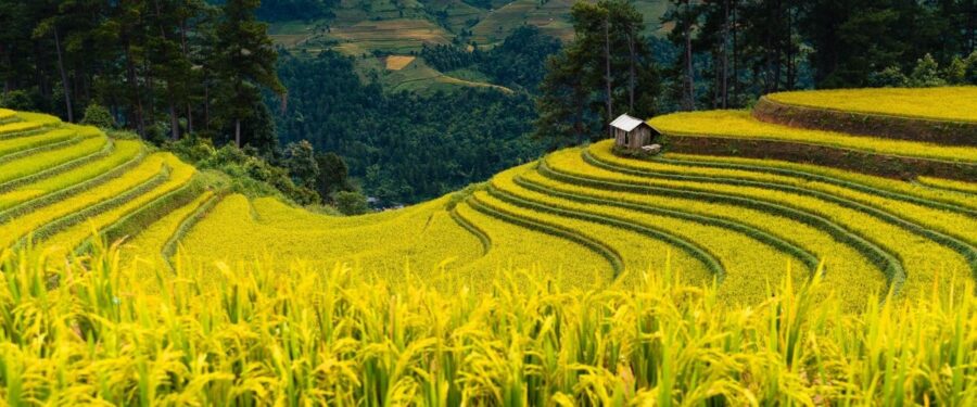 monsoon season in Vietnam